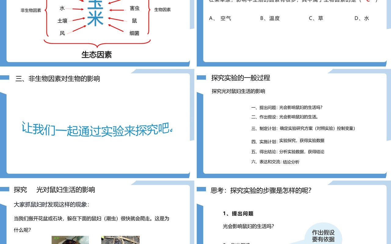 部编版七年级生物上册生物与环境的关系课件PPT模板