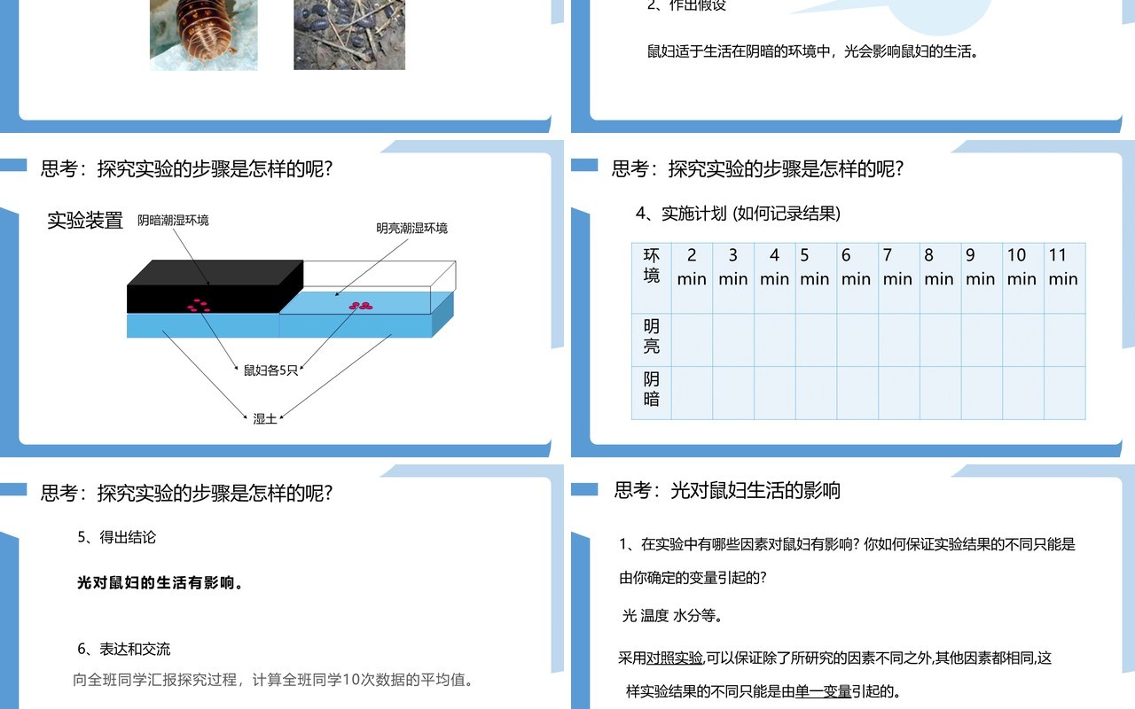 部编版七年级生物上册生物与环境的关系课件PPT模板