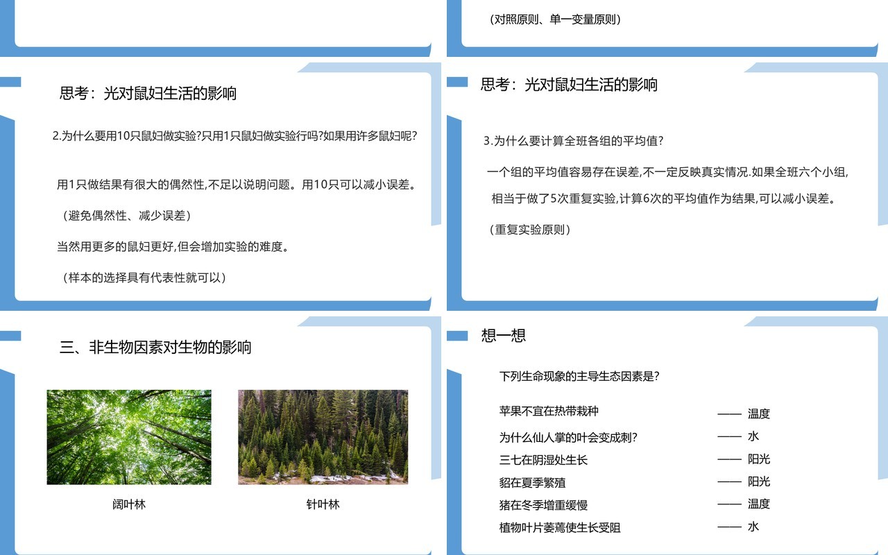 部编版七年级生物上册生物与环境的关系课件PPT模板