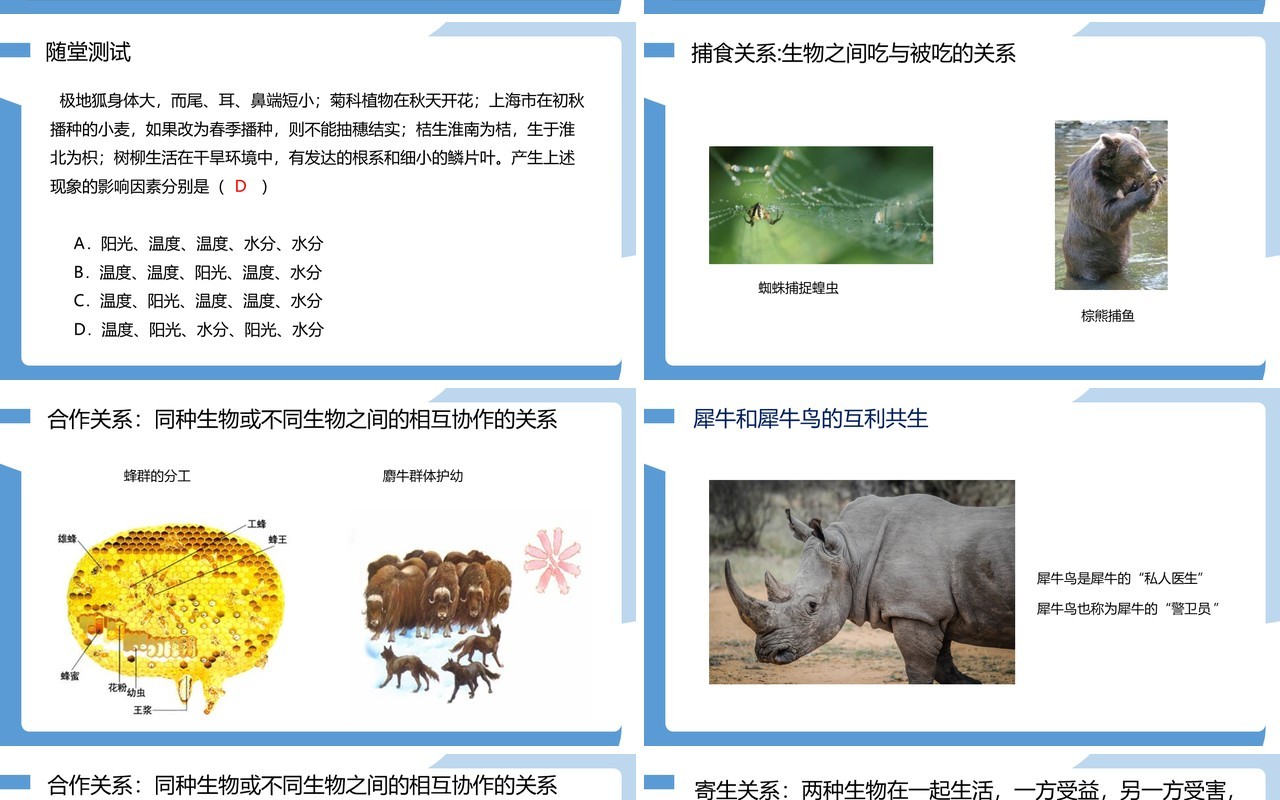 部编版七年级生物上册生物与环境的关系课件PPT模板