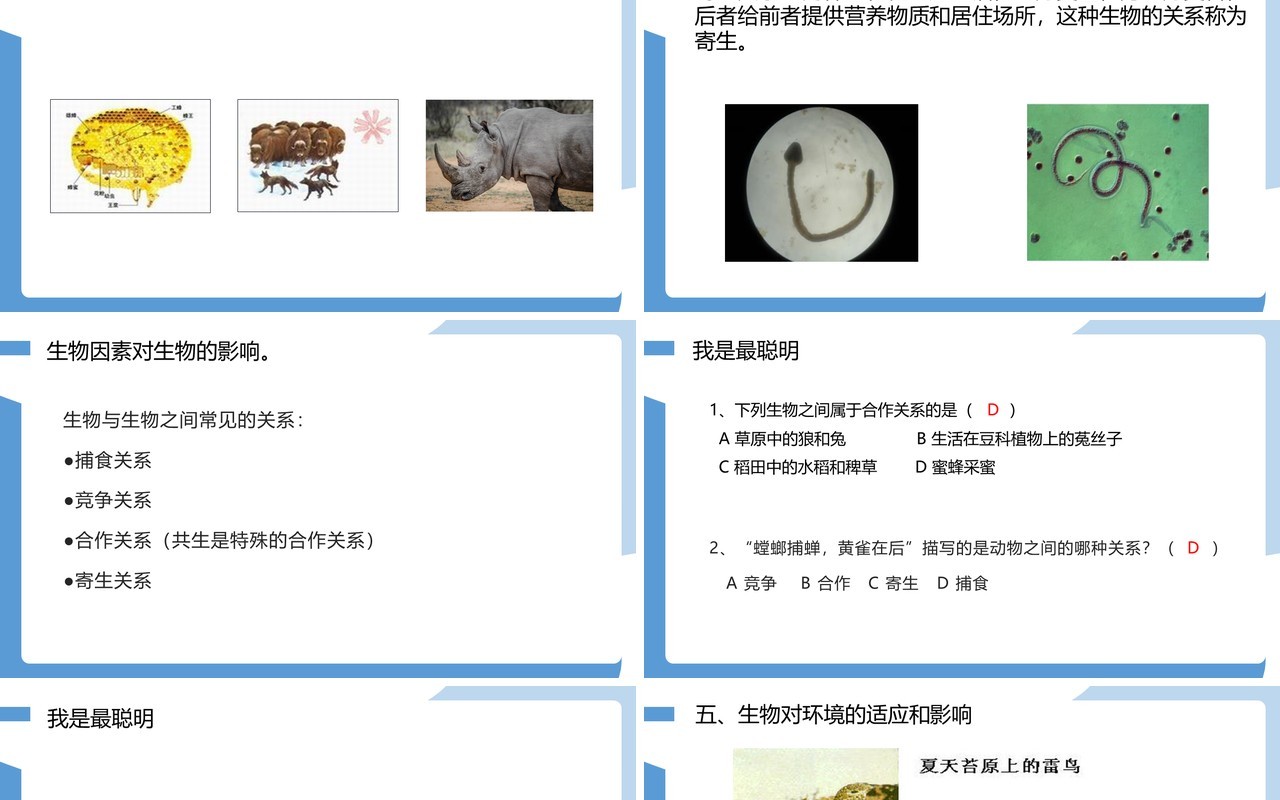 部编版七年级生物上册生物与环境的关系课件PPT模板
