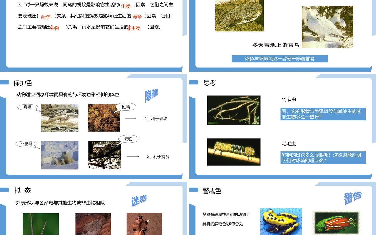 部编版七年级生物上册生物与环境的关系课件PPT模板