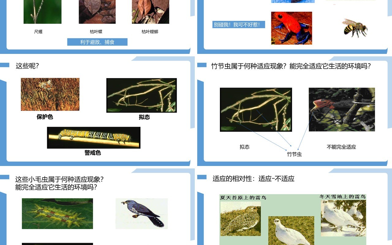 部编版七年级生物上册生物与环境的关系课件PPT模板