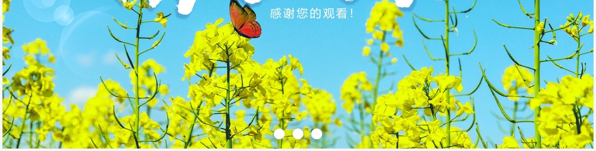 小清新蓝天春天你好植物动态PPT模板
