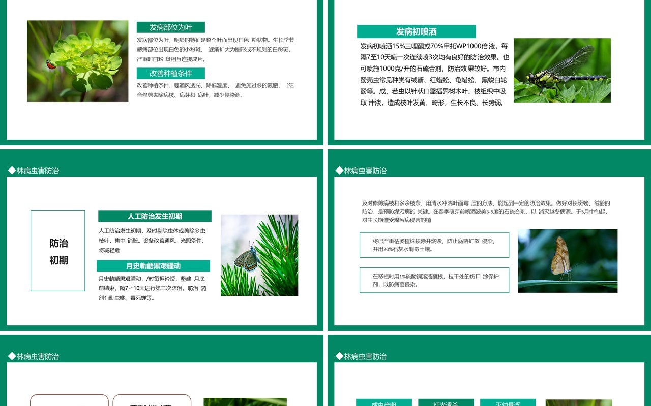 林病虫害防治动态PPT模板