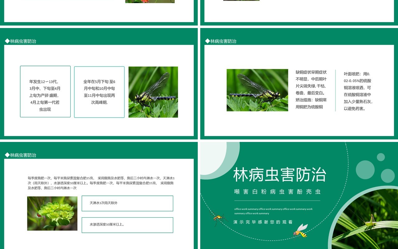 林病虫害防治动态PPT模板