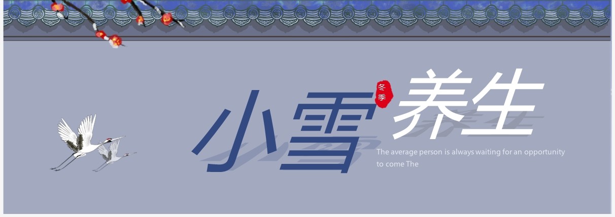 蓝紫色简约中国风小雪养生宣传PPT模板