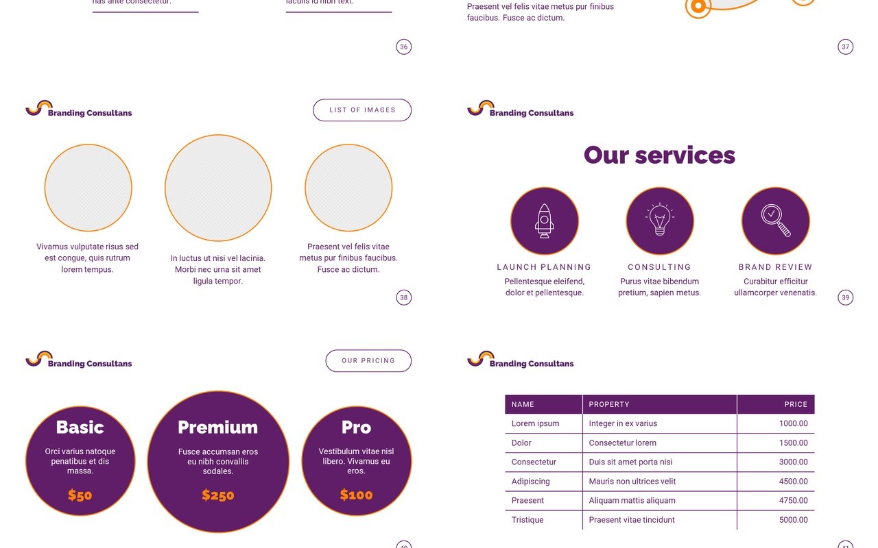 Branding-Consultant-PowerPoint-Presentation-Template