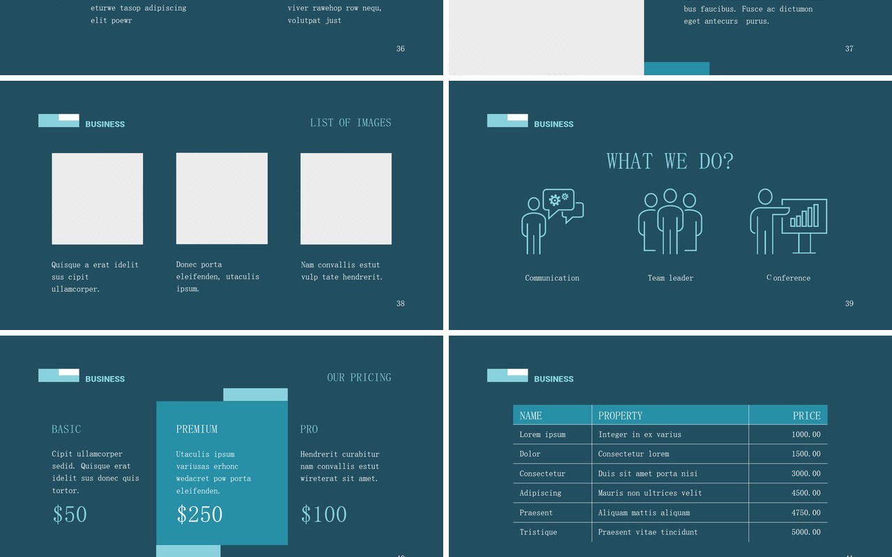 Business-Networking-PowerPoint-Presentation-Template