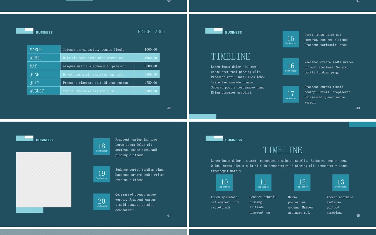 Business-Networking-PowerPoint-Presentation-Template