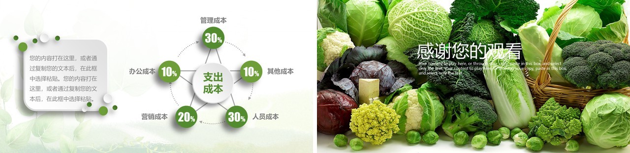 绿色蔬菜食品健康安全PPT模板
