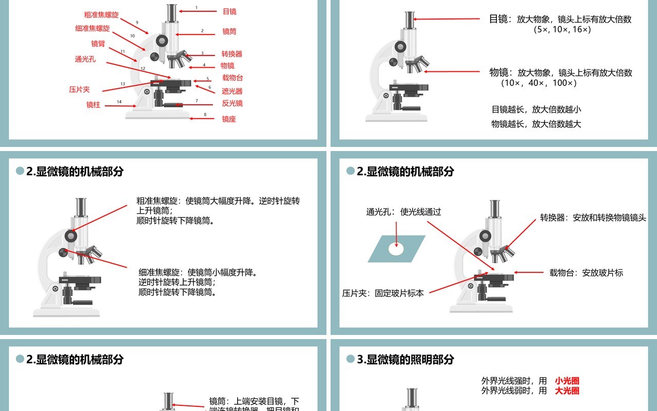 部编版七年级生物上册练习使用显微镜课件PPT模板