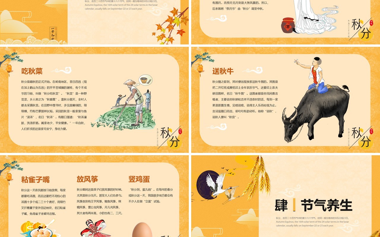黄色简约中国风二十四节气之秋分PPT模板