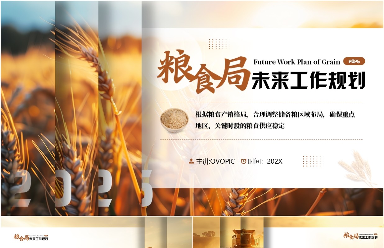 棕色简约风粮食局未来工作规划PPT模板