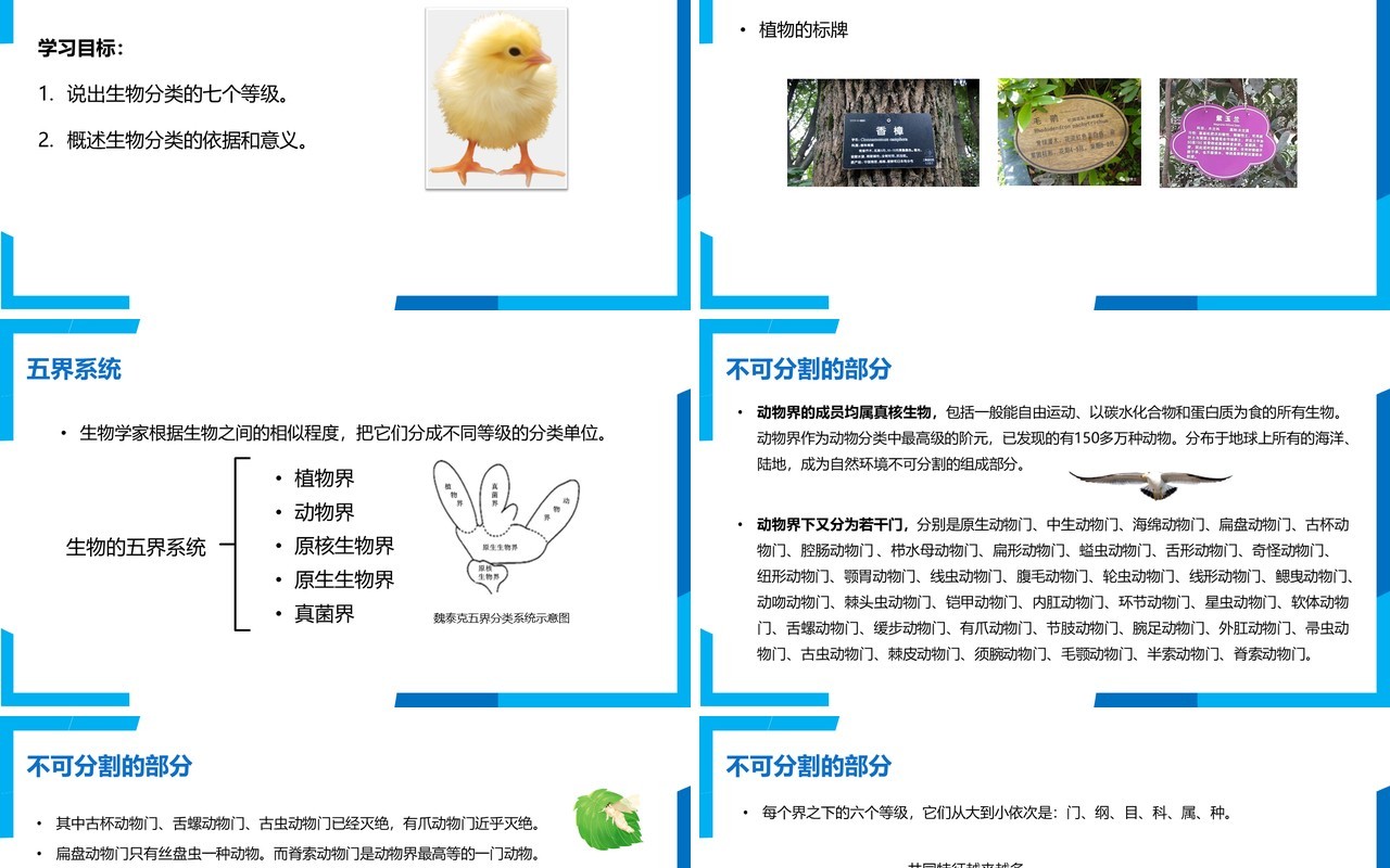 部编版八年级生物上册从种到界PPT模板