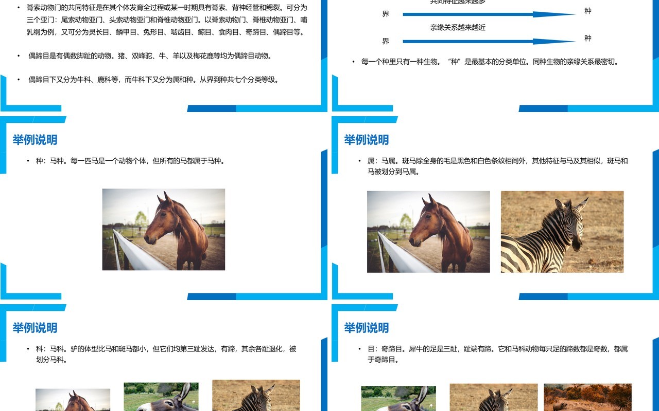 部编版八年级生物上册从种到界PPT模板