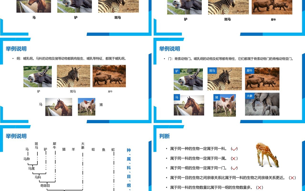 部编版八年级生物上册从种到界PPT模板