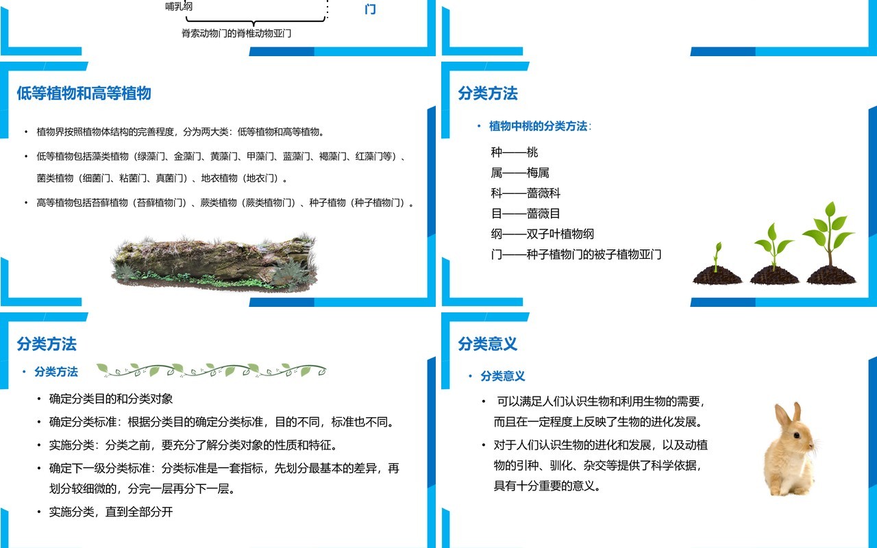 部编版八年级生物上册从种到界PPT模板