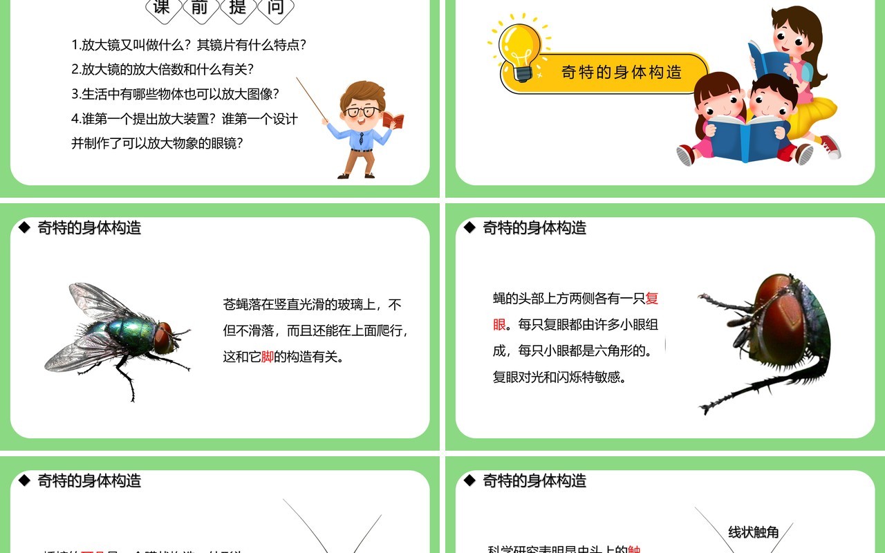 教科版六年级科学下册放大镜下的昆虫世界课件PPT模板