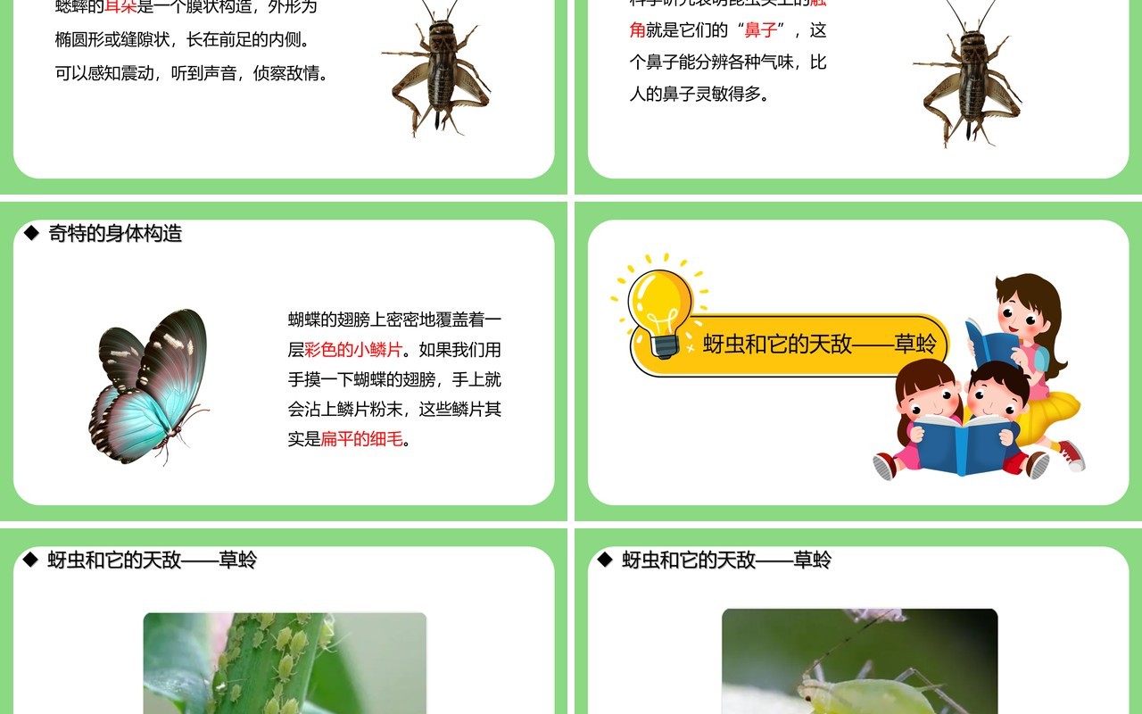 教科版六年级科学下册放大镜下的昆虫世界课件PPT模板