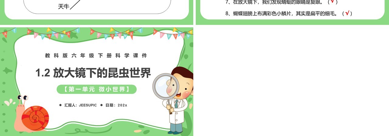 教科版六年级科学下册放大镜下的昆虫世界课件PPT模板