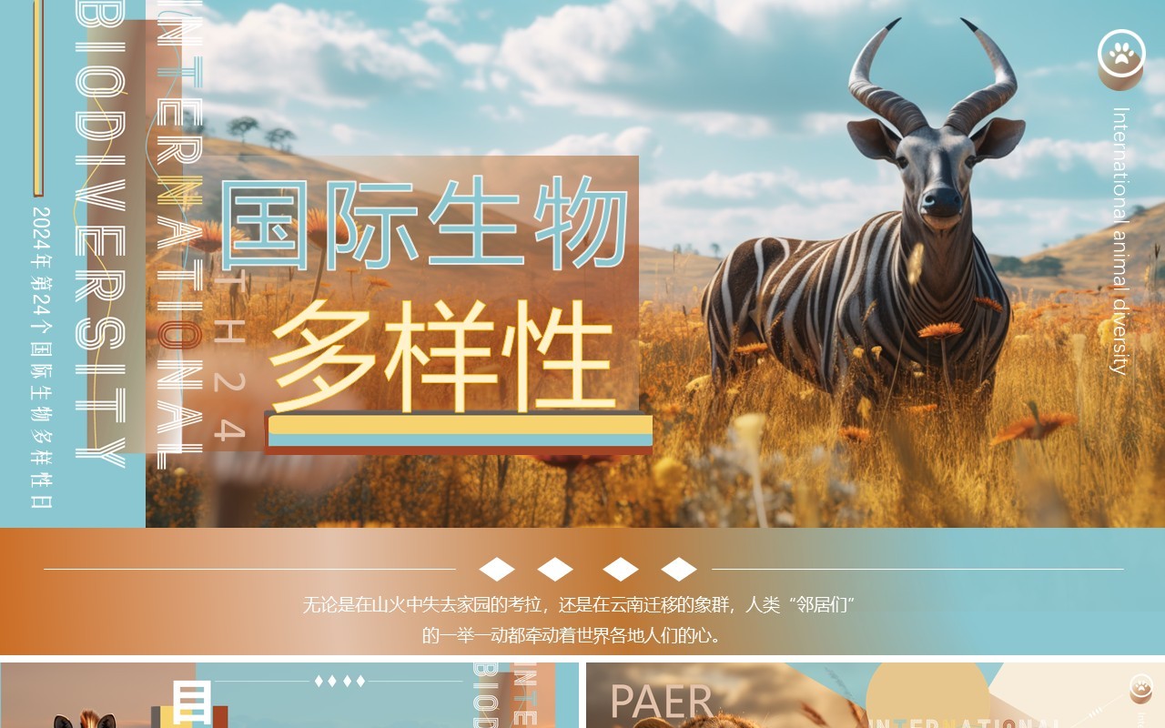蓝棕色插画风国际生物多样性PPT模板