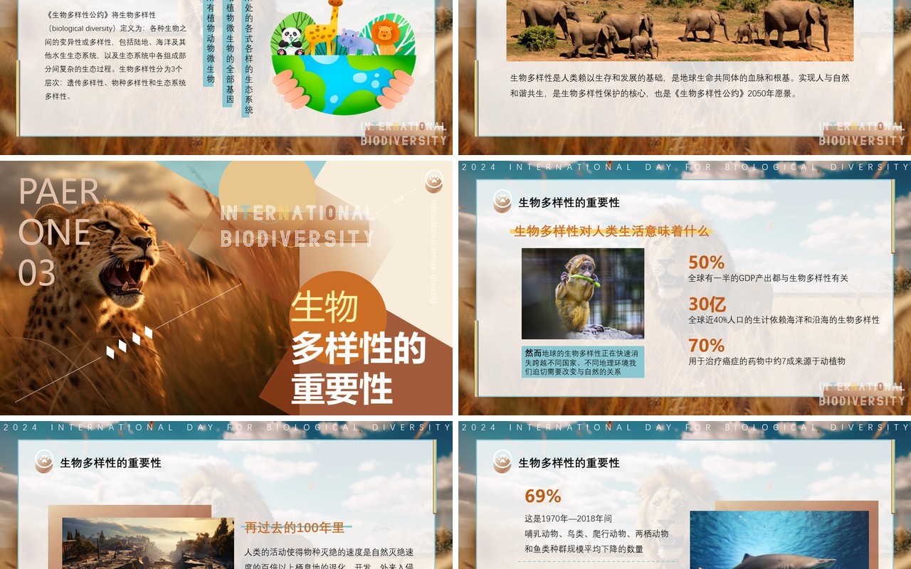 蓝棕色插画风国际生物多样性PPT模板