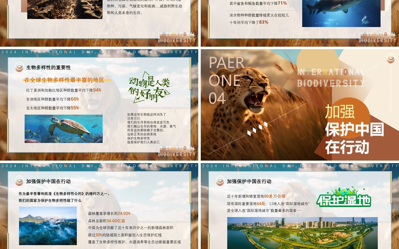 蓝棕色插画风国际生物多样性PPT模板