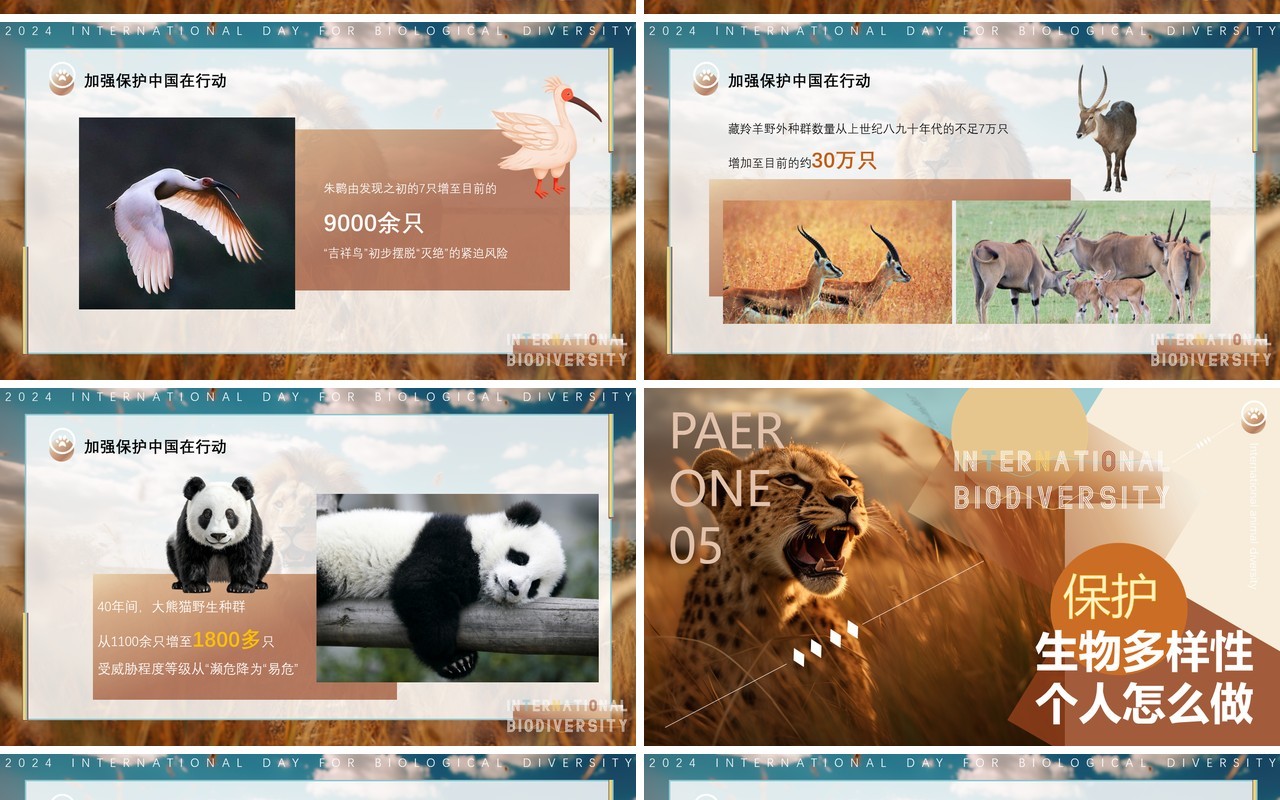蓝棕色插画风国际生物多样性PPT模板