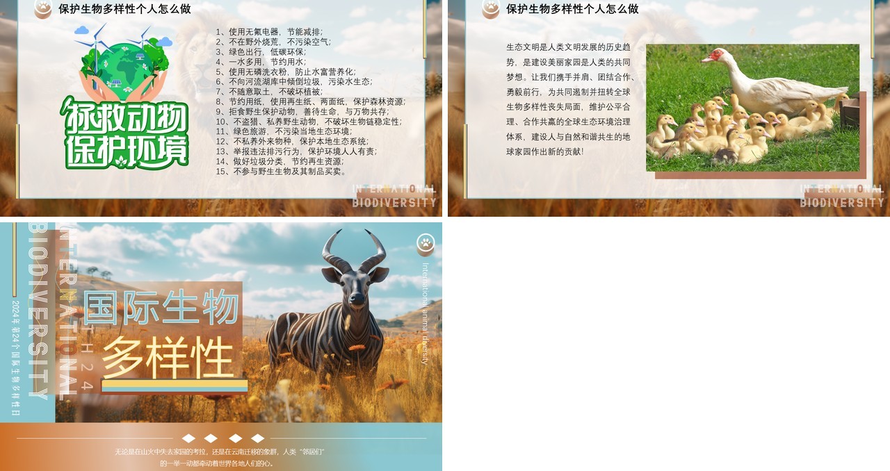 蓝棕色插画风国际生物多样性PPT模板