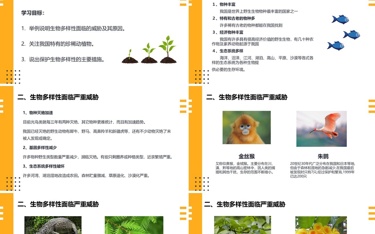 部编版八年级生物上册保护生物的多样性PPT模板