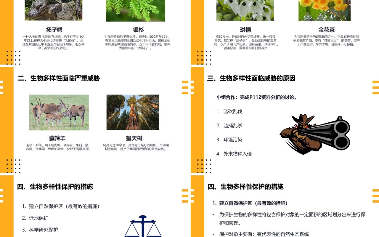 部编版八年级生物上册保护生物的多样性PPT模板
