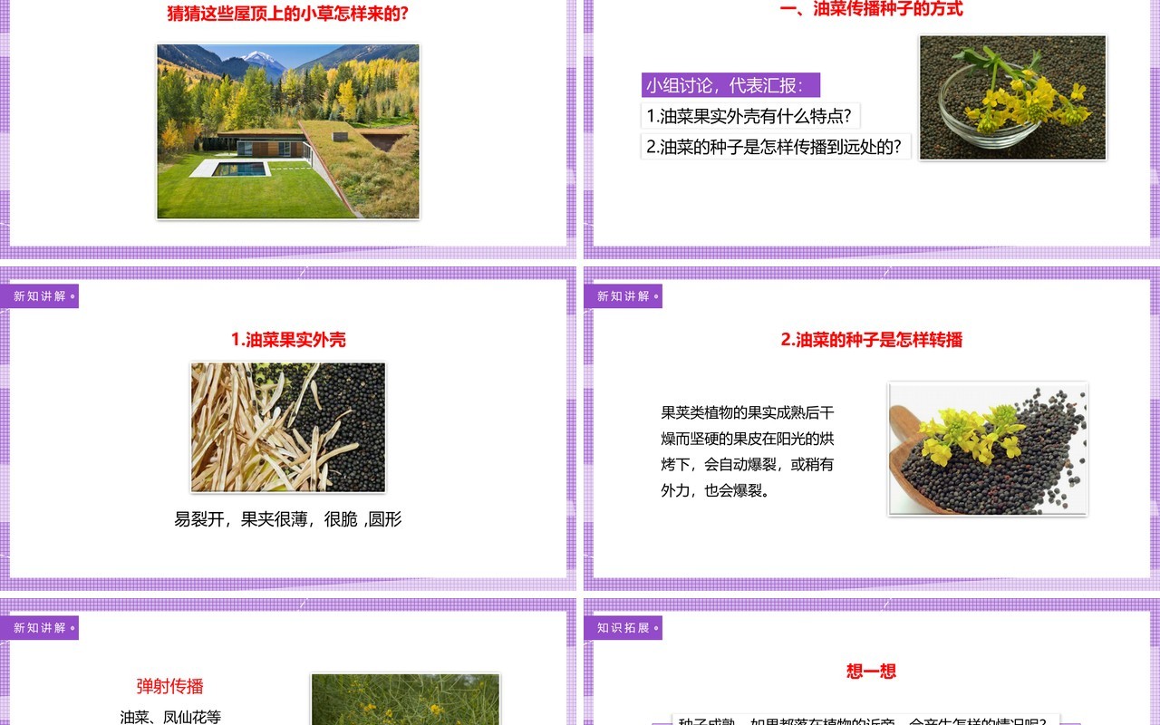 教科版四年级下册把种子散播到远处课件PPT模板