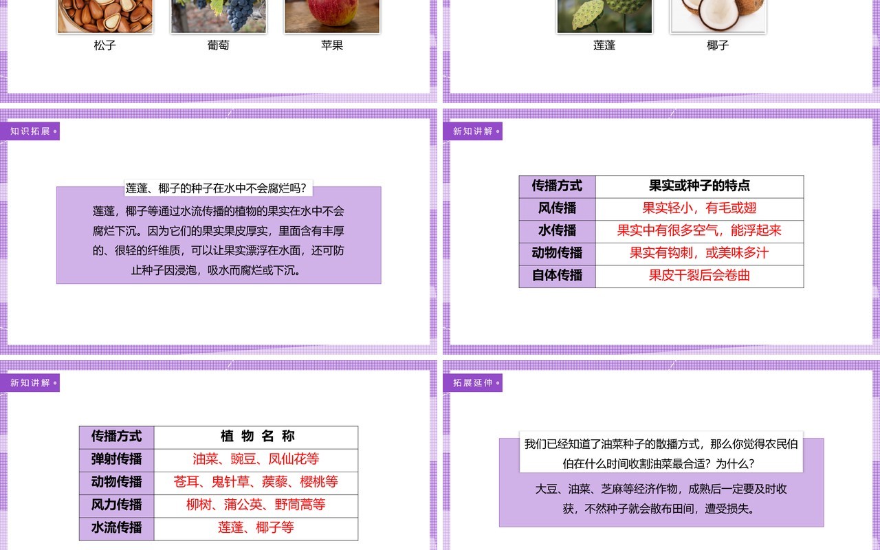教科版四年级下册把种子散播到远处课件PPT模板