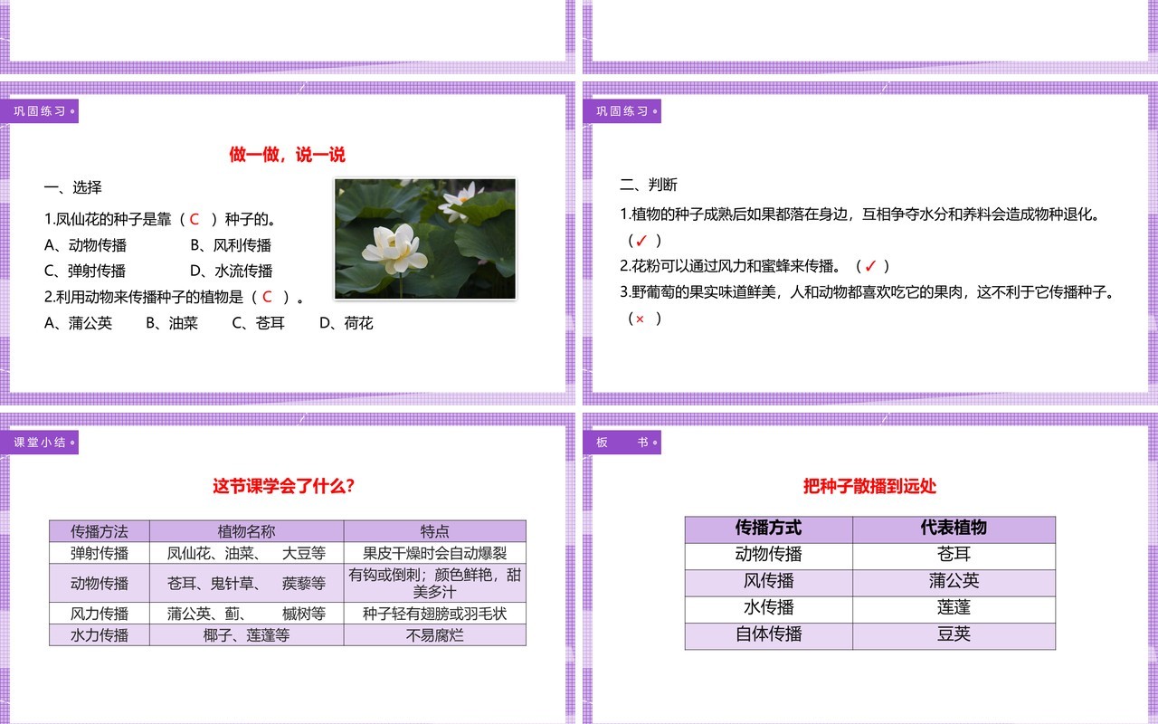 教科版四年级下册把种子散播到远处课件PPT模板