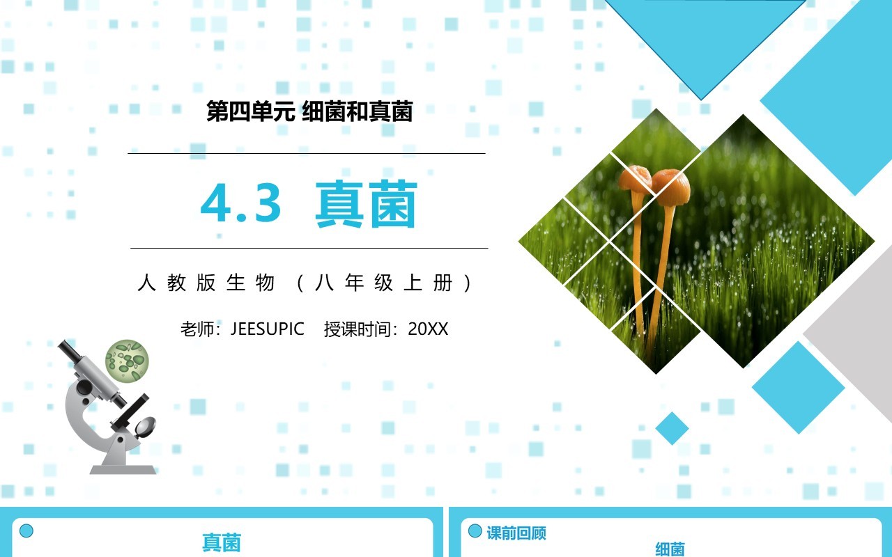 部编版八年级生物上册真菌PPT模板
