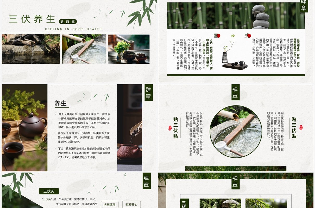 绿色小清新三伏天科普介绍PPT模板