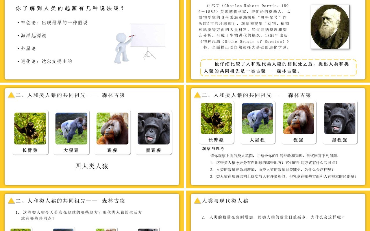 部编版七年级生物下册人类的起源与发展课件PPT模板