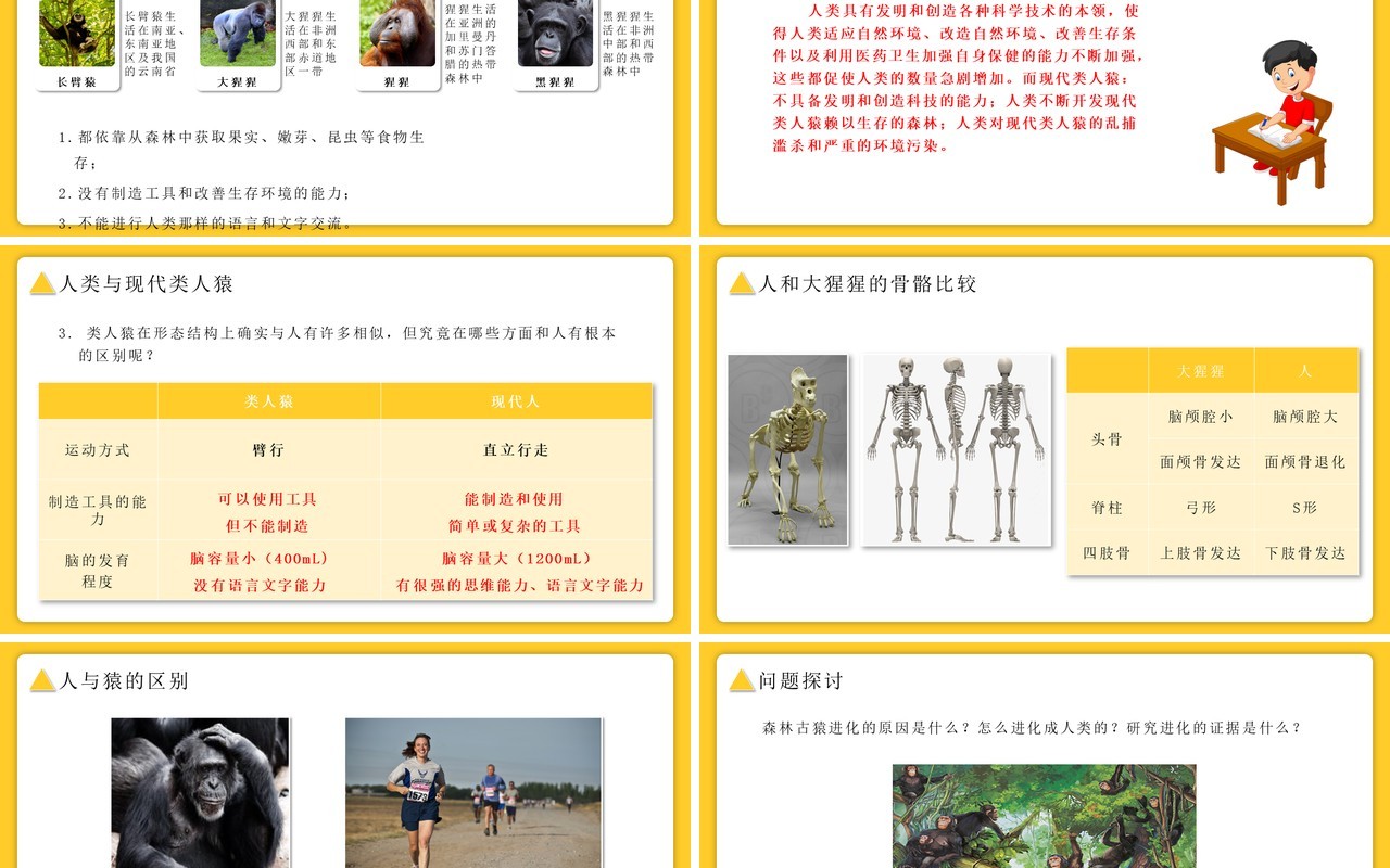 部编版七年级生物下册人类的起源与发展课件PPT模板