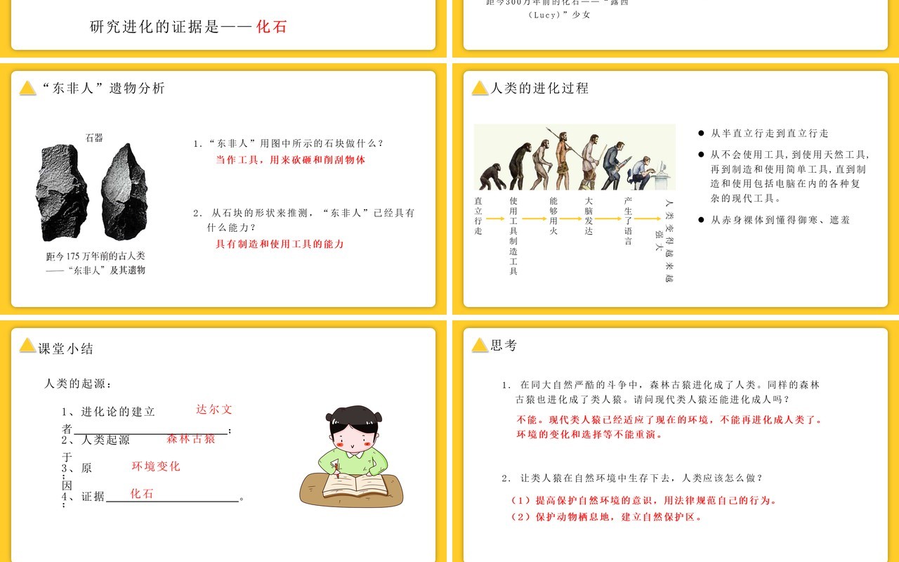 部编版七年级生物下册人类的起源与发展课件PPT模板