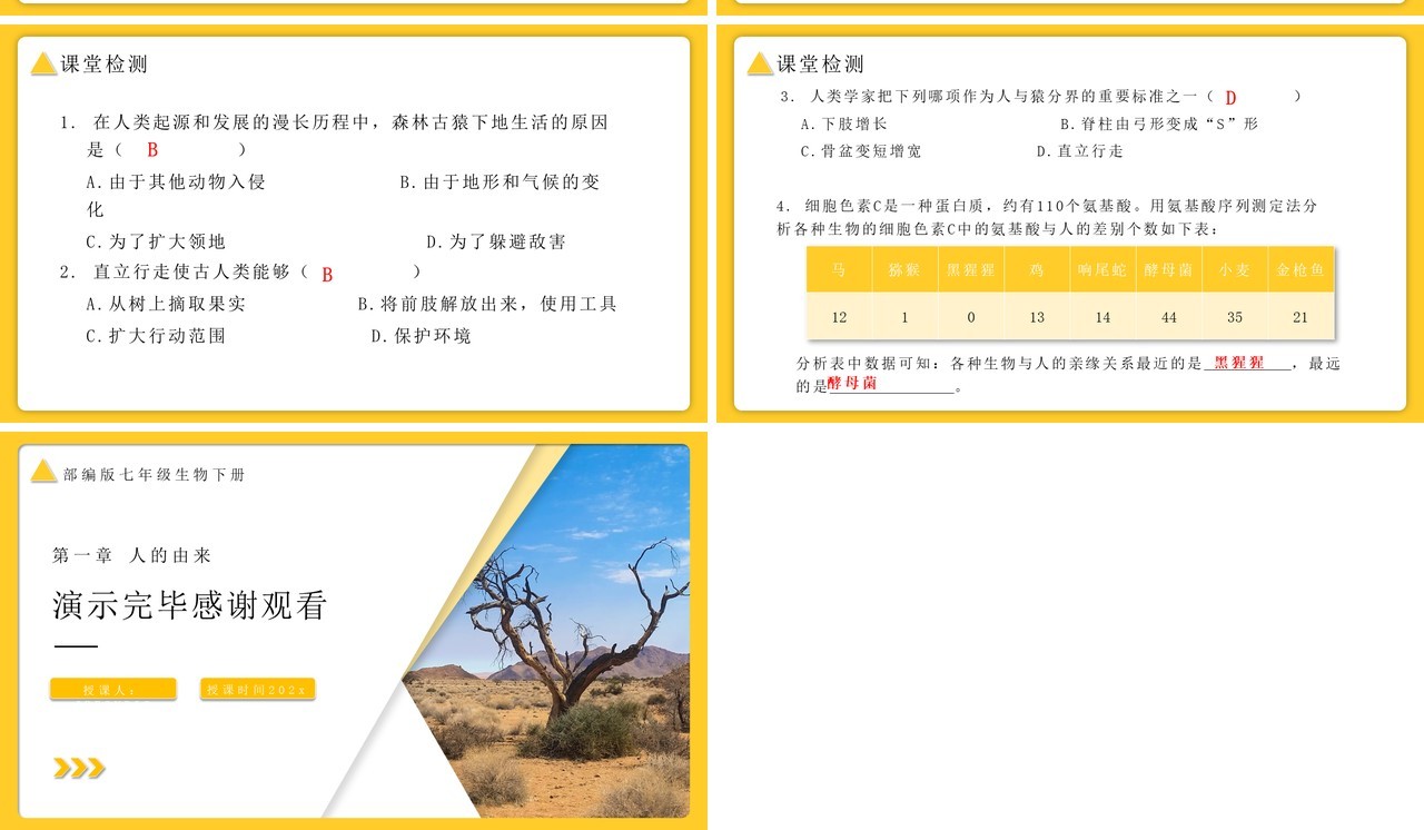 部编版七年级生物下册人类的起源与发展课件PPT模板