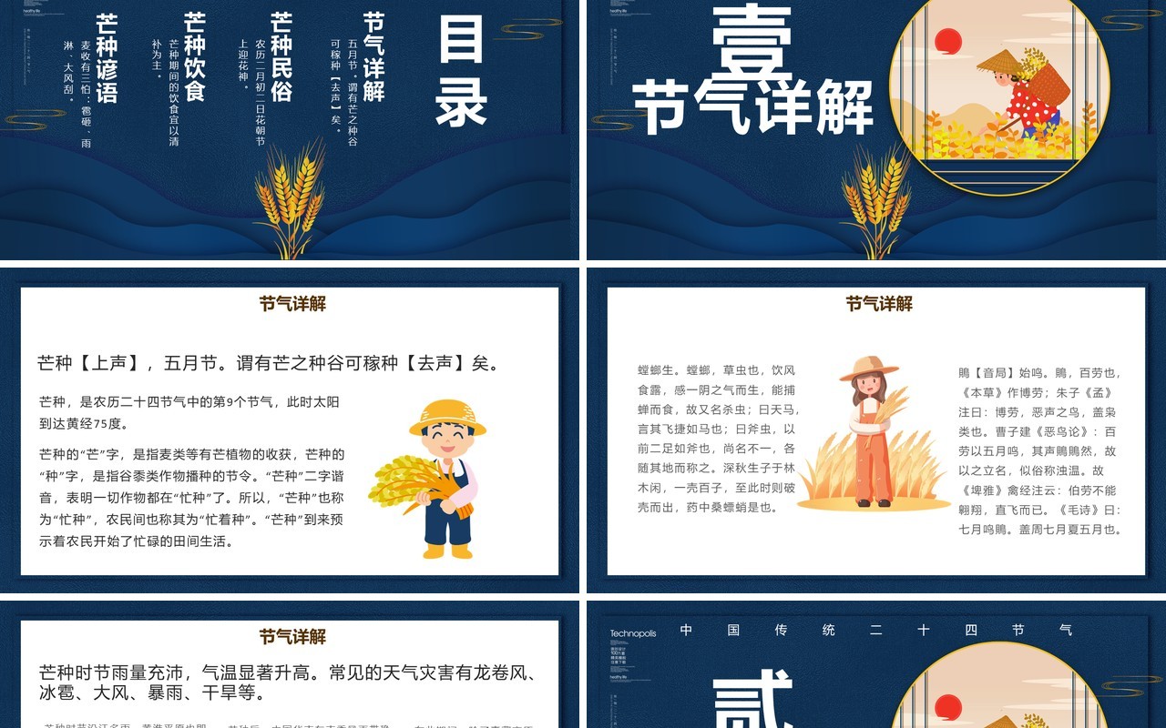 创意简约卡通小清新二十四节气芒种PPT模板