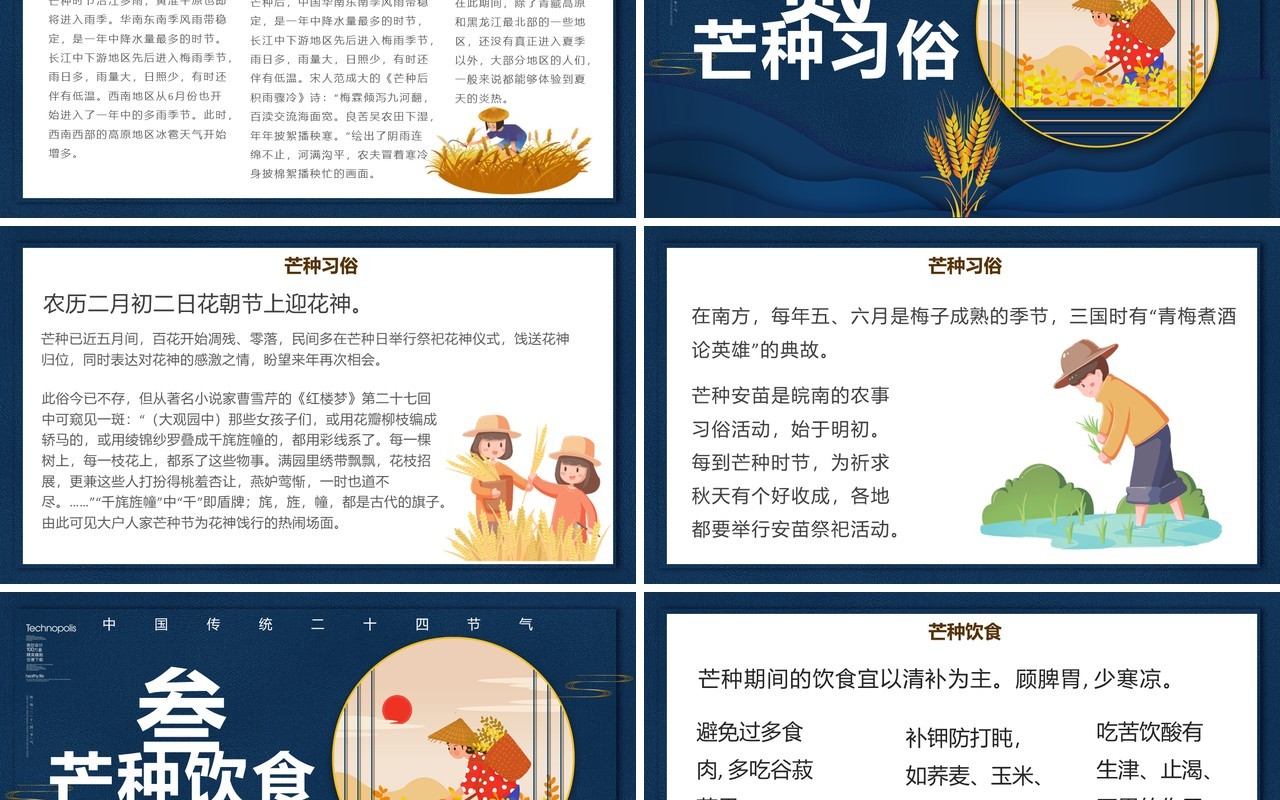 创意简约卡通小清新二十四节气芒种PPT模板