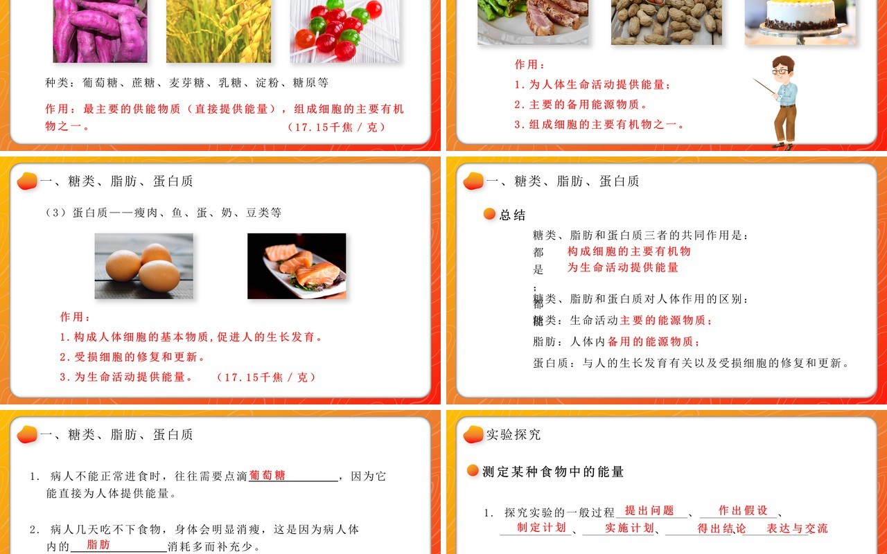 部编版七年级生物下册食物中的营养物质课件PPT模板教育课件