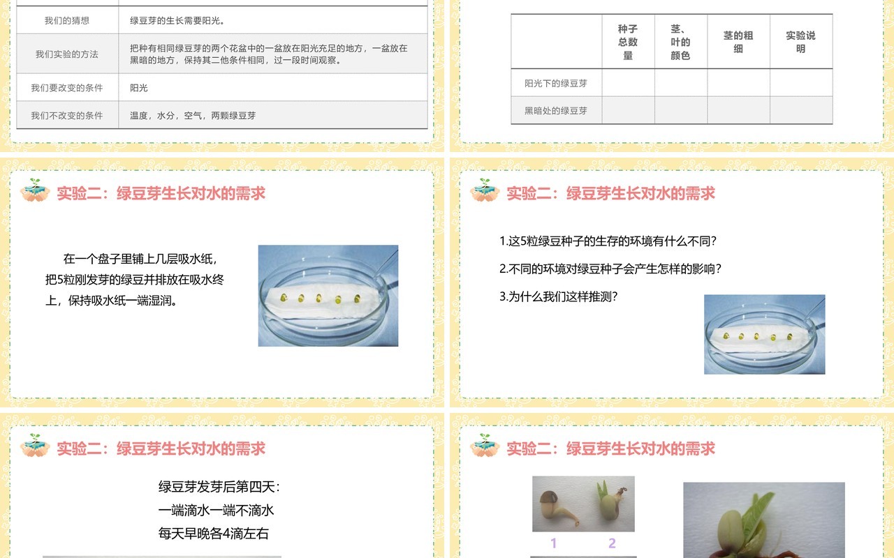 教科版五年级科学上册观察绿豆芽的生长PPT模板
