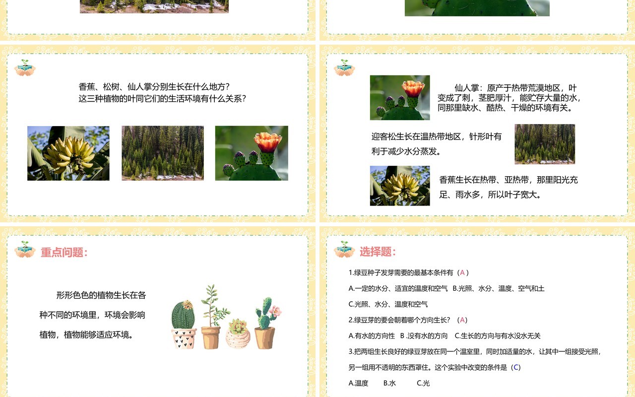 教科版五年级科学上册观察绿豆芽的生长PPT模板