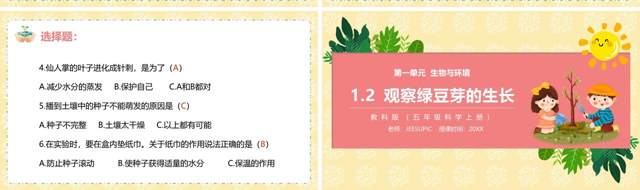 教科版五年级科学上册观察绿豆芽的生长PPT模板