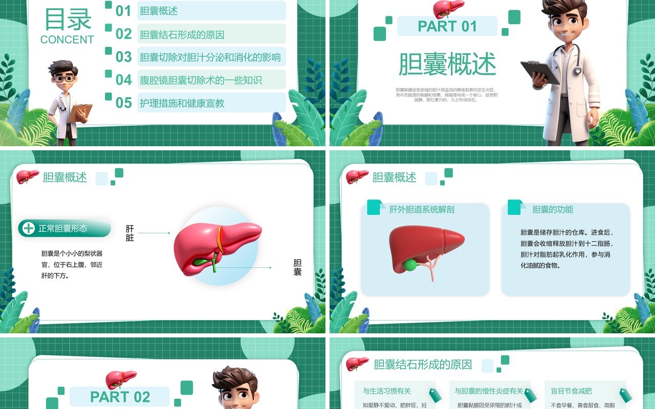 绿色卡通风胆囊结石健康管理PPT模板