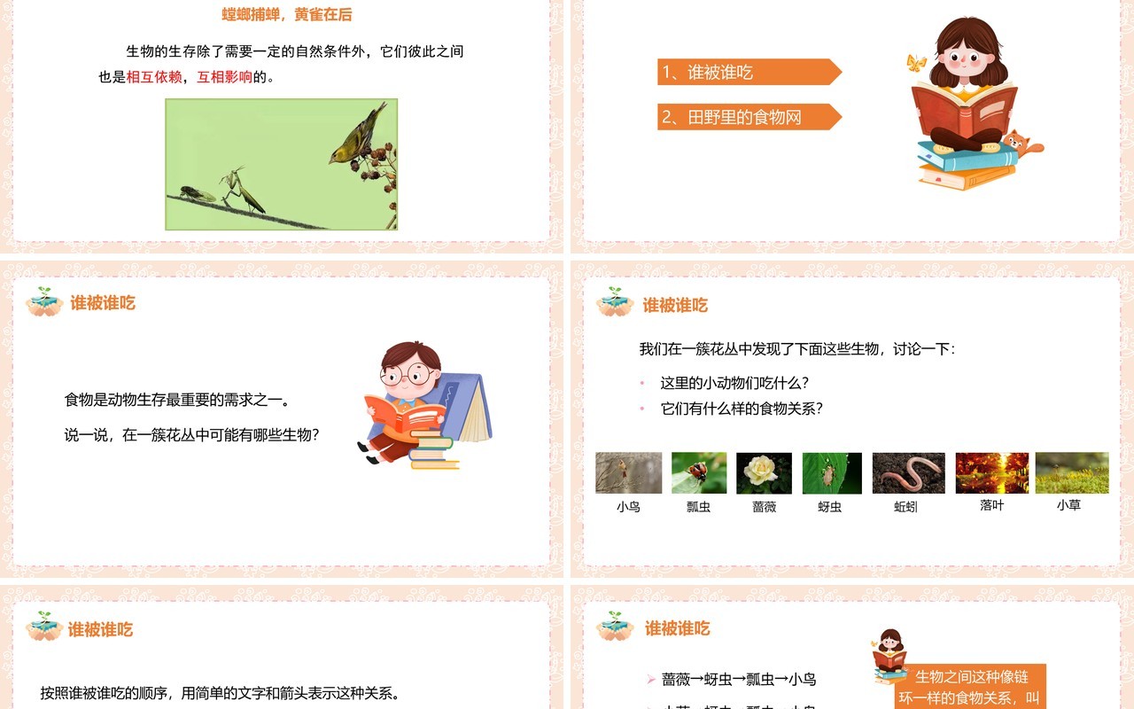 教科版五年级科学上册食物链和食物网PPT模板