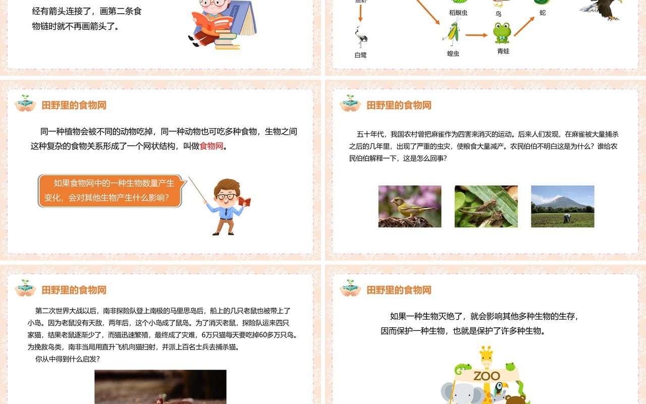 教科版五年级科学上册食物链和食物网PPT模板
